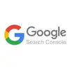 AD Eportfolio ~ Logo Google Search Console