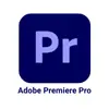 AD Eportfolio ~ Logo Adobe Premiere Pro
