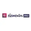 AD Eportfolio ~ Logo Elementor Pro